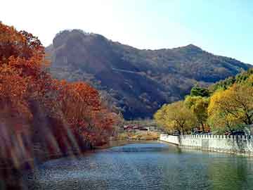 奥门天天开奖免费资料，独山子石化公司